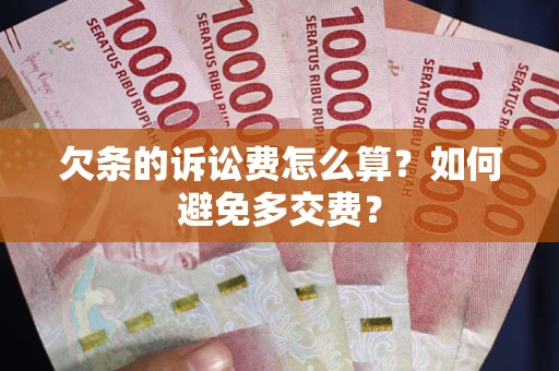 北京欠条的诉讼费怎么算？如何避免多交费？